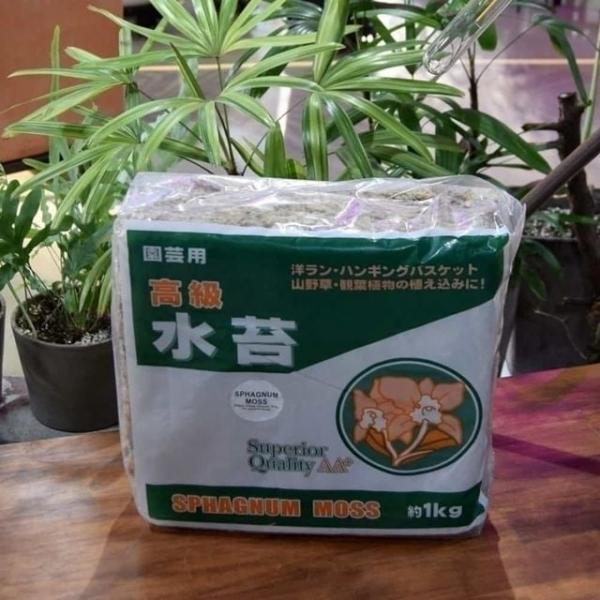수태 1Kg 토피어리 수태분갈이 물이끼
