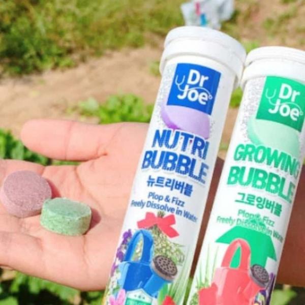 56g 복합비료 흙영양제 화초비료