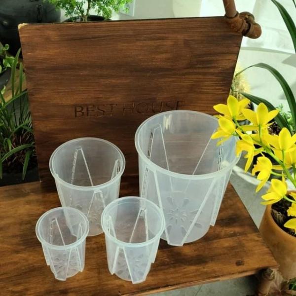 슬릿 삽목 화분 14cm 인테리어화분 투명화분