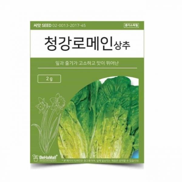텃밭 채소 씨앗 로메인상추 삼채씨앗 상추씨