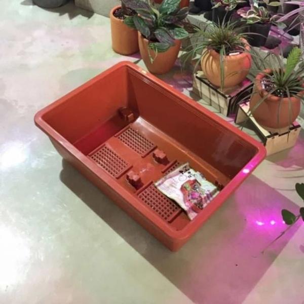 텃밭 화분 바퀴 59x39 베란다텃밭 집에서야채키우기