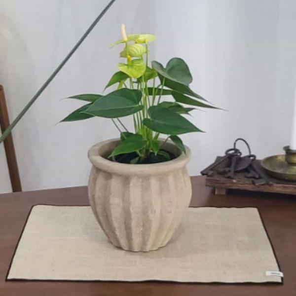 아쿠아토분 플단지 예쁜화분 디자인화분