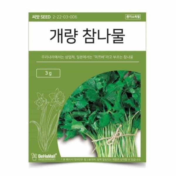 텃밭 채소 씨앗 참나물 새싹키우기 식물기르기
