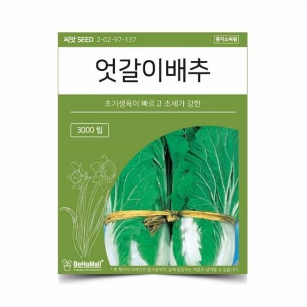 텃밭 채소 씨앗 엇갈이배추 실내텃밭 홈가드닝