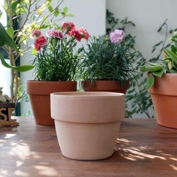 토분 팽이 14x12cm 스투키토분 인테리어화분