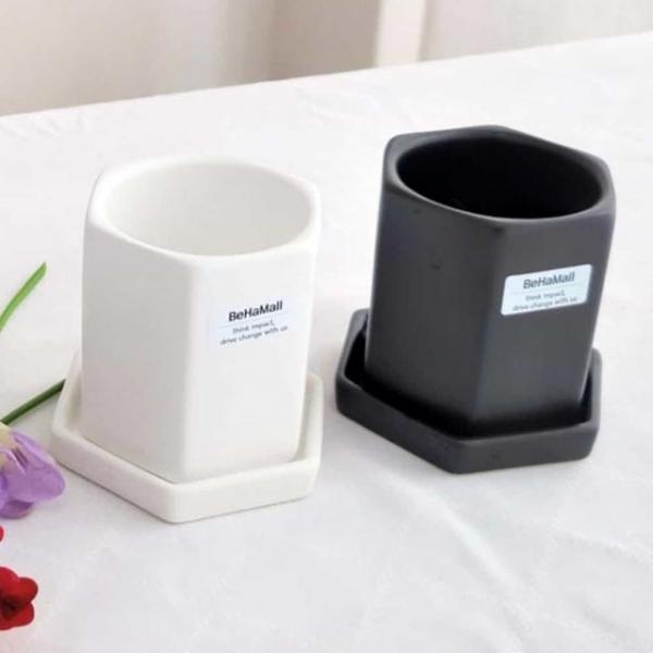 육각 화분 8x8cm 테이블화분 소형식물화분