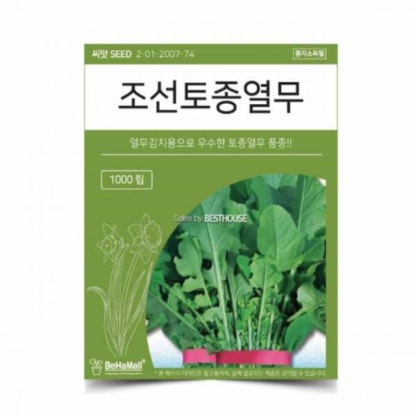 텃밭 채소 씨앗 열무 텃밭씨앗 열무씨