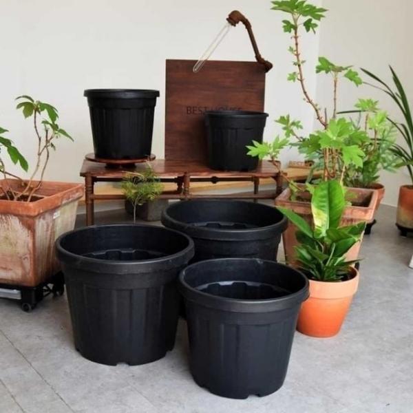화분 고무 화분 30L 엔카이셔스화분 금전수화분