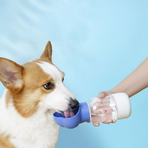 500142 애견 3M리드줄 물통 산책세트