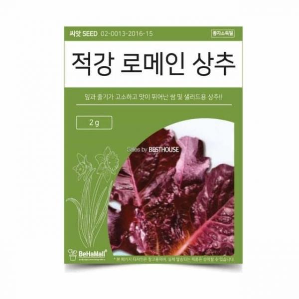 텃밭 채소 씨앗 로메인상추 식물키우기 채소씨앗