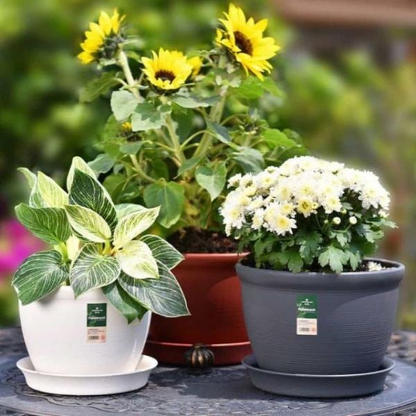 화분 미분 14x10cm 소형식물화분 테이블화분