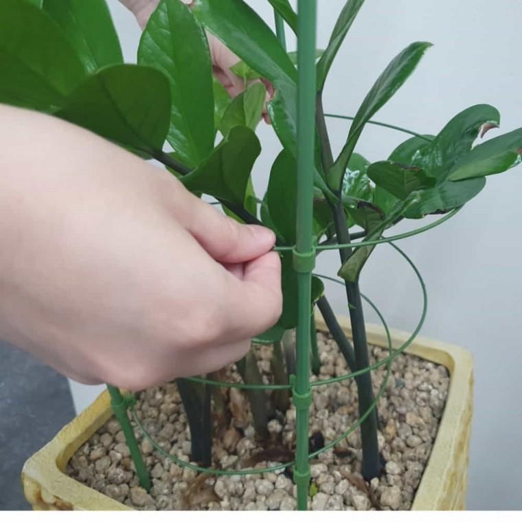 원형 식물지지대 45cm 원예지지대 몬스테라지지대
