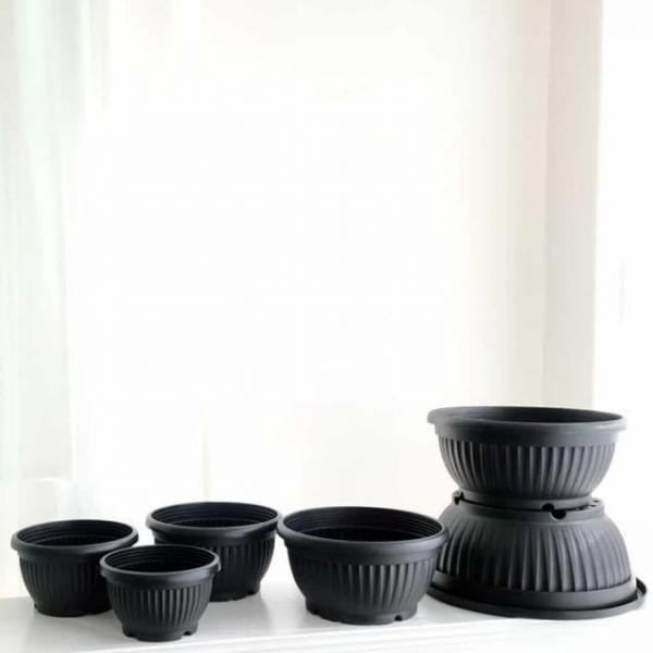분재 포트 화분 35x15 튼튼한화분 플라스틱포트화분