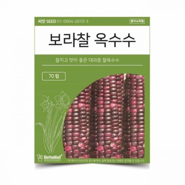 텃밭 채소 씨앗 찰 옥수수 채소씨 야채씨앗