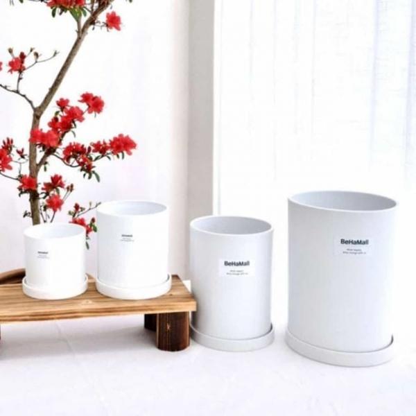 실린더 화분 13x14cm 프라스틱화분 깔끔한화분