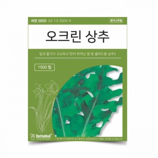 텃밭 채소 씨앗 상추 텃밭식물 야채씨앗