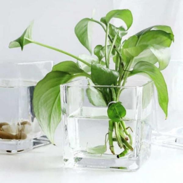 유리 화병 14x14x40cm 거실인테리어화병 예쁜꽃병