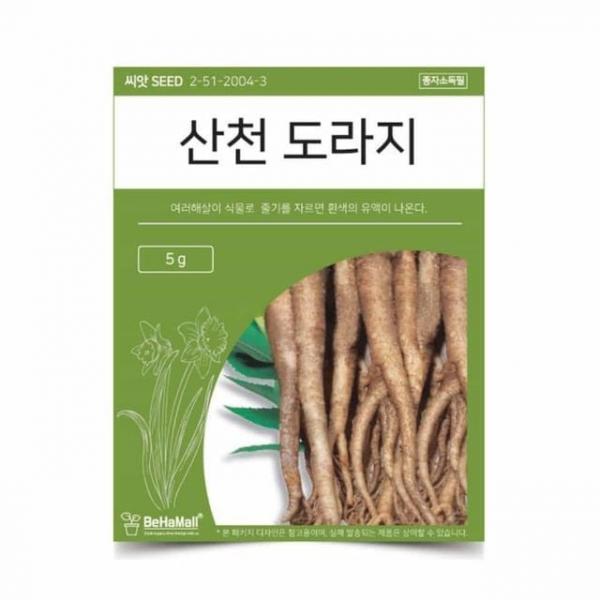 텃밭 채소 씨앗 도라지 도라지씨 도라지씨앗