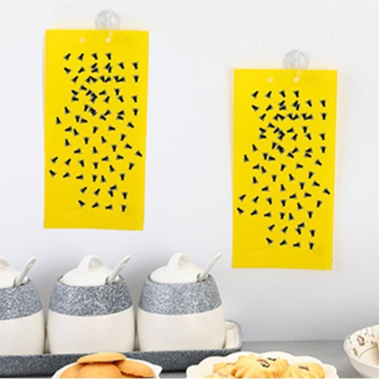 초파리 트랩 20x25cm 초파리없애는방법 나방트랩 초파리제거제