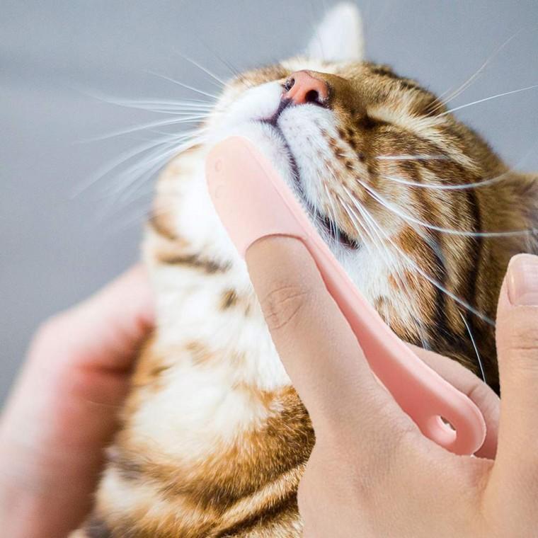 고양이 턱드름브러쉬 꼬드름브러쉬 턱드릅브러쉬 고양이빗 고양이털빗 고양이털브러쉬