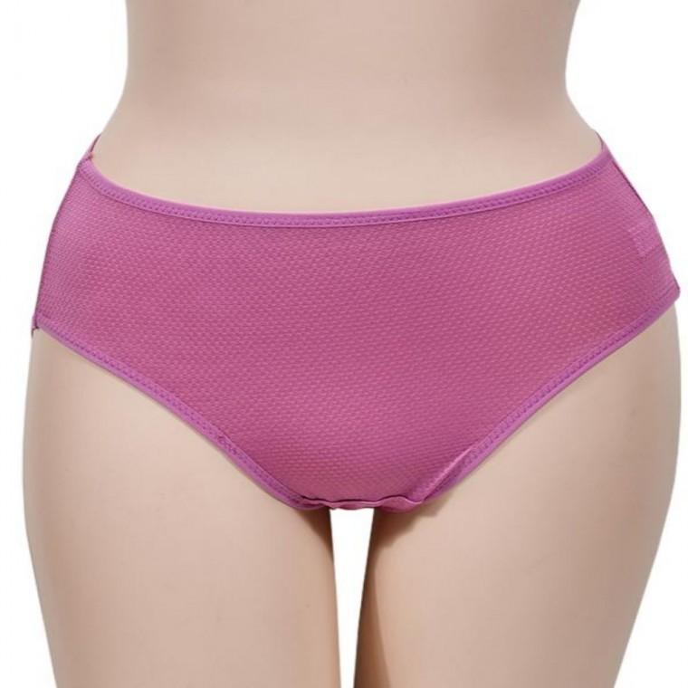 견 기본 베이직 팬티 여성심리스팬티 여자팬티 여성삼각팬티