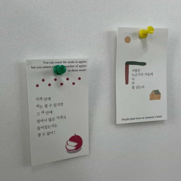 압정 35P 세트 오피스용품 게시판꾸미기