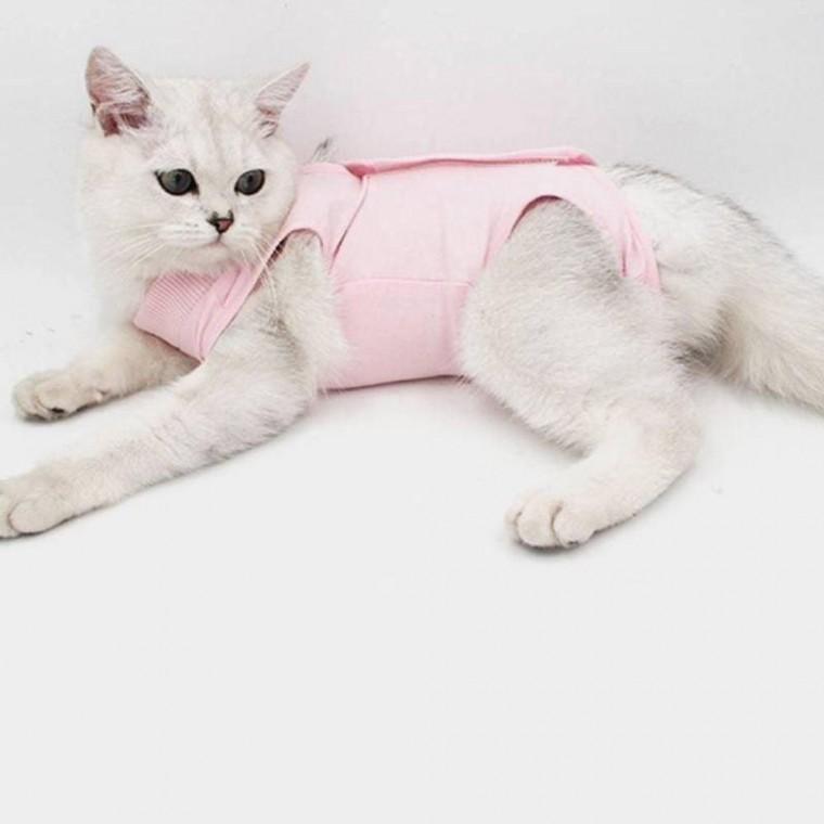 고양이 수술복 중성화옷 편안한 착용감