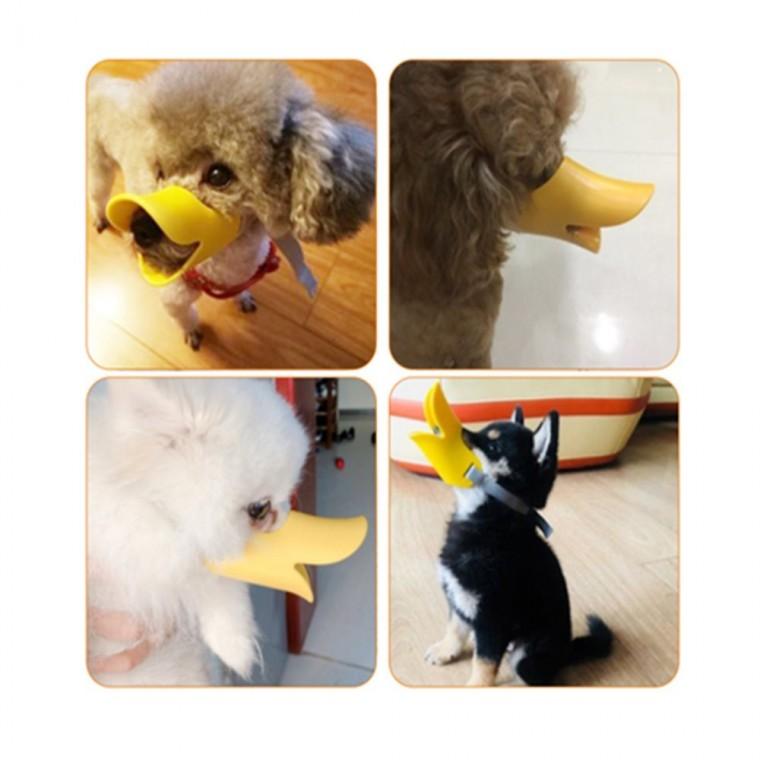 소형견 입마개 개짖음방지 포메라니안입마개 입질방지