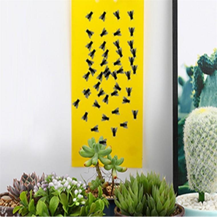 초파리 스티커 20x25cm 날파리퇴치 초파리퇴치기 하루살이퇴치