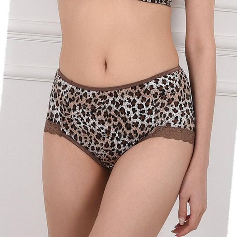 호피 레이스 맥시팬티 여자속옷팬티 여자삼각팬티