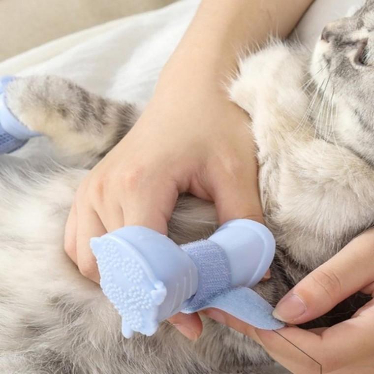 강아지 레인부츠 강아지부츠 반려견신발 강아지산책신발