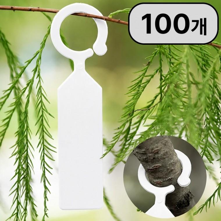 고리형 식물이름표 100p 세트