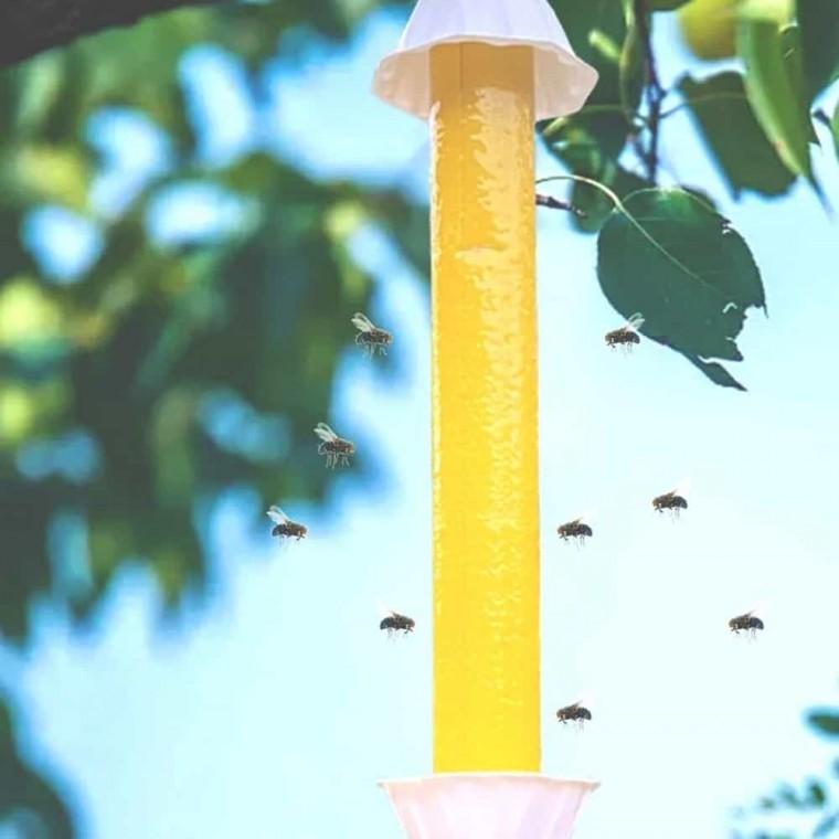플라이스틱 파리끈끈이 벼룩파리