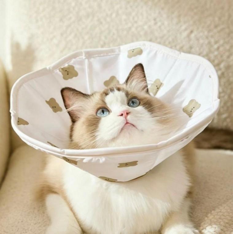 반려동물 강아지 방수넥카라 고양이 상처보 깔대기 목보호대 보호넥