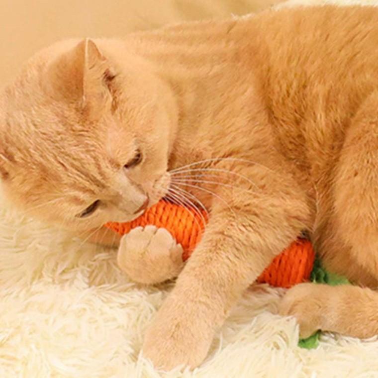 당근 강아지 장난감 댕이장난감 냥이