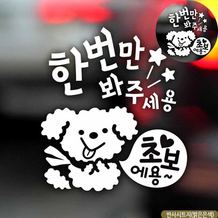 자동차스티커 초보운전 왕초보스티커 차량스티커