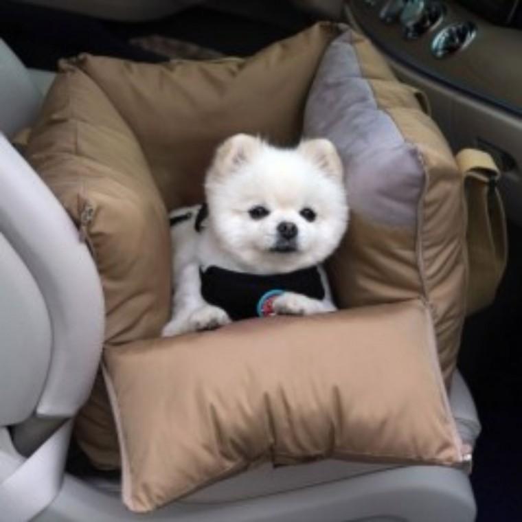 강아지카시트이동가방 베이지 강아지자동차시트 애견카시트 차량용애견시트
