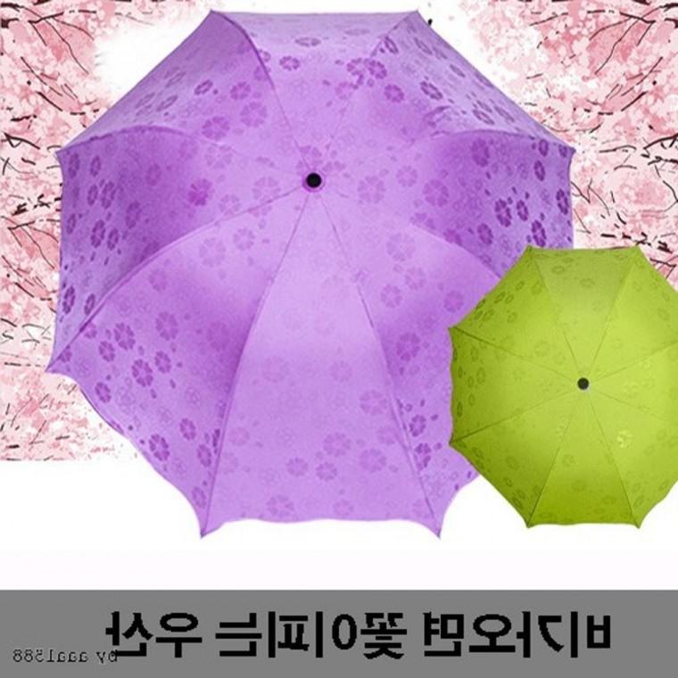 우양산 꽃피는 사 암막 우산 벚꽃 3단