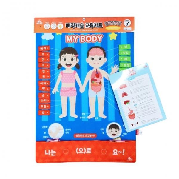 차트 소중한 나의 몸 배우기 500043