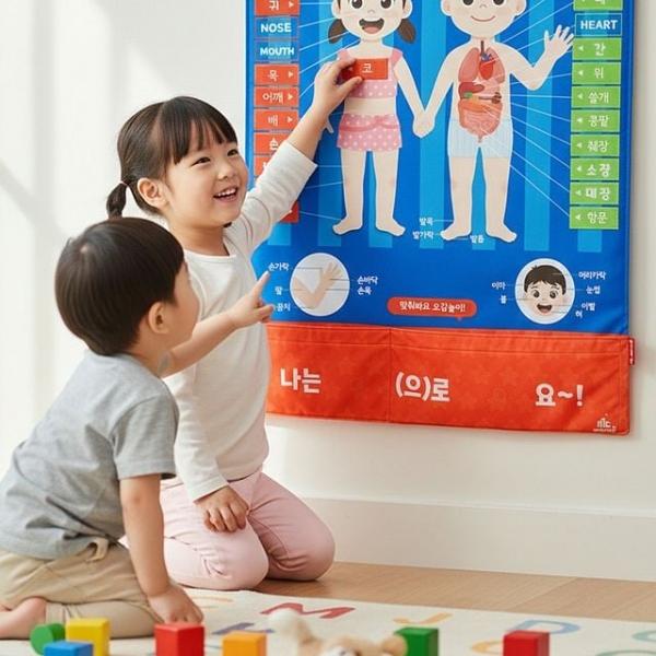 500043 차트 소중한 나의 몸 배우기