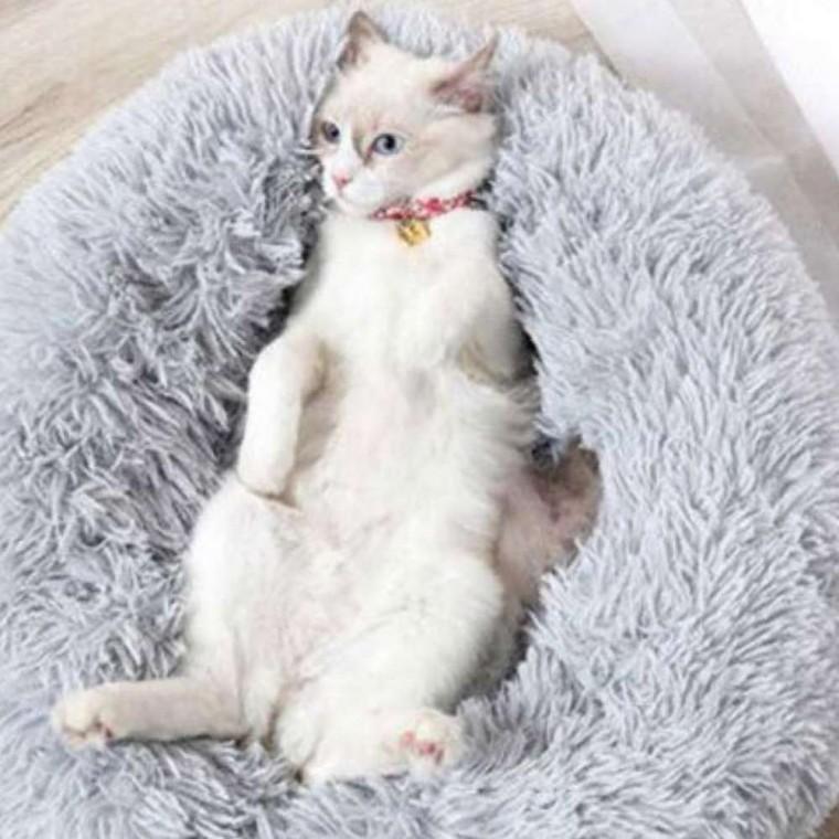 반려동물 방석 40cm 핑크 고양이도넛쿠션 강아지하우스쿠션 강아지침대 강아지방석 반려동물쿠션
