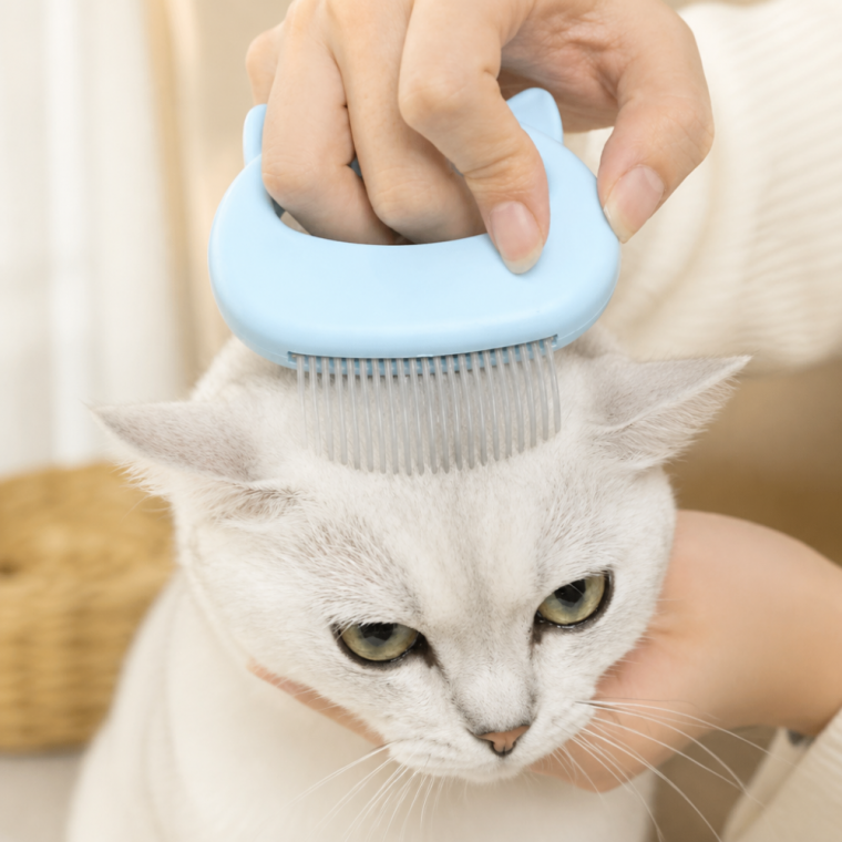 고양이 죽은털 제거 빗 반려묘 털관리 마사지 브러시 펫 그루밍 용품