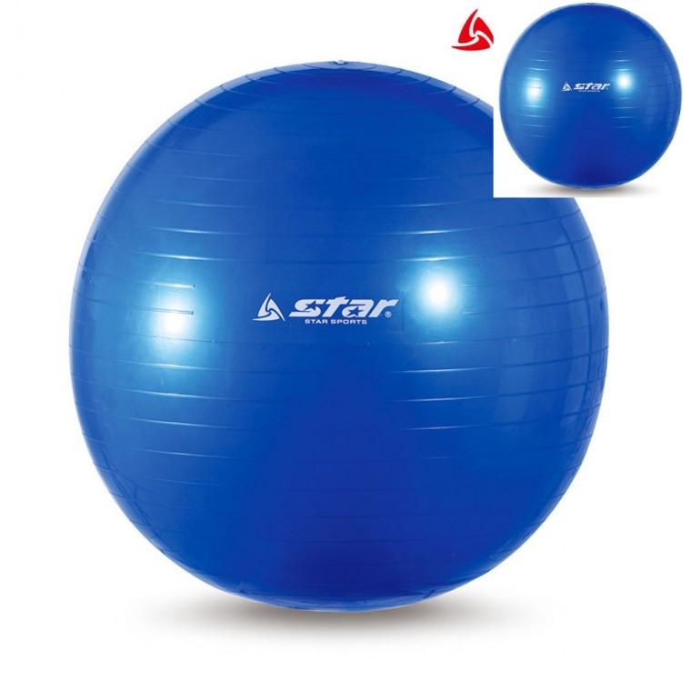 짐볼 55cm 블루 밸런스볼 헬스장짐볼 스트레칭짐볼