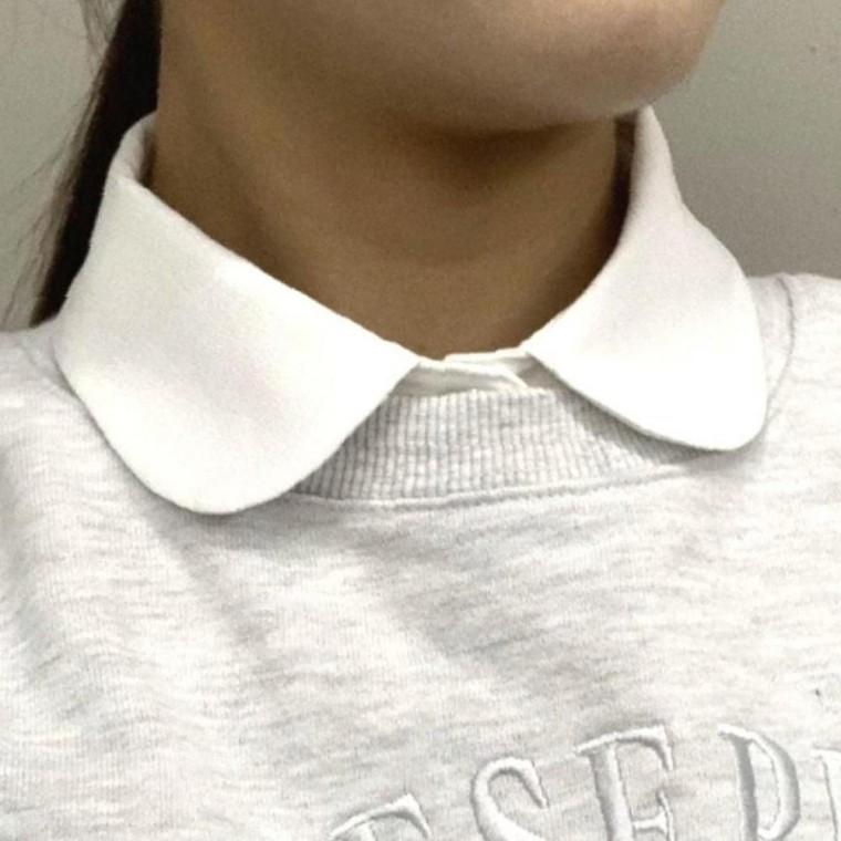 쉬폰 페이크셔츠 차분한 라운드 목카라 화이트