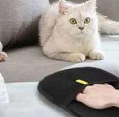 고양이 털제거 청소장갑 개브러쉬 고양이털청소 강아지빗