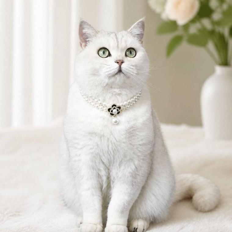 펫 목걸이 고양이 강아지 액세서리 플라워 반려동물 장식