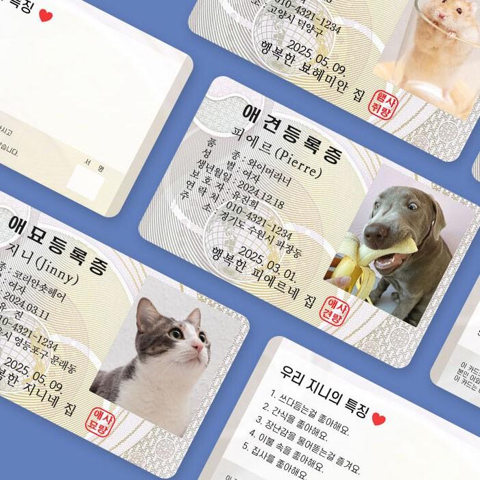 반려동물등록증 주문제작인쇄