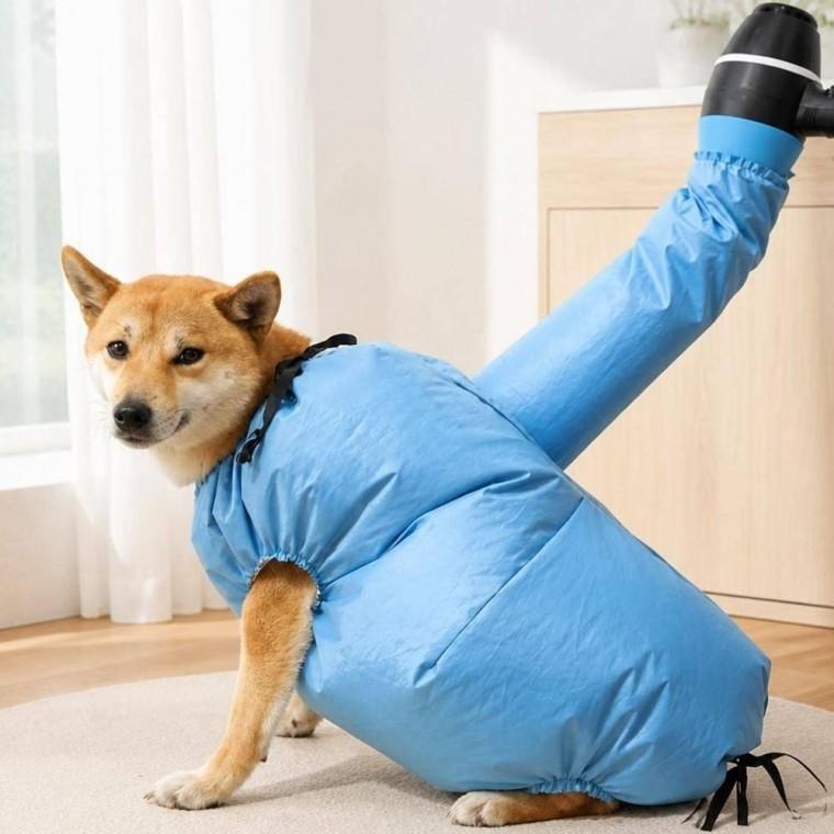 드라이룸 목욕 반려동물 애완견 애견 펫 가운 드라이 건조복