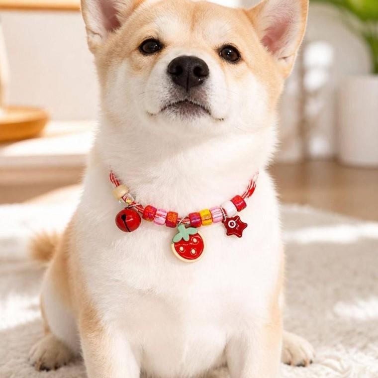 목걸이 목줄 인식표 반려동물 강아지 조절형 반려견 고양이