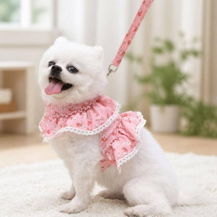 플라워 하네스 산책줄 가슴줄 레이스 고양이 강아지 조절형